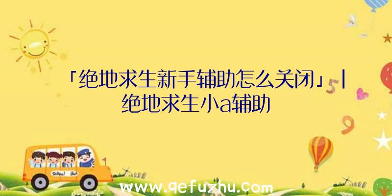 「绝地求生新手辅助怎么关闭」|绝地求生小a辅助